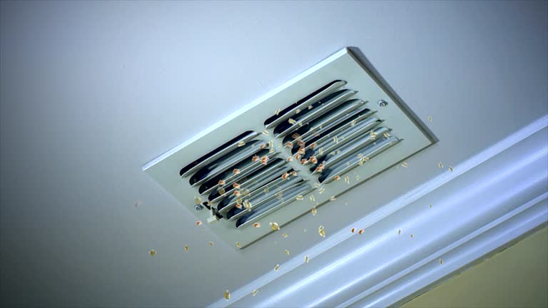 Best Commercial Air Duct Cleaning  in Brownsville, TN