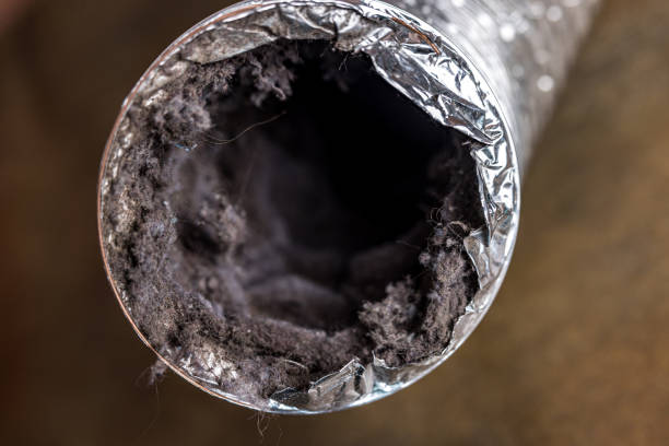 Best Ductwork Cleaning Services  in Brownsville, TN